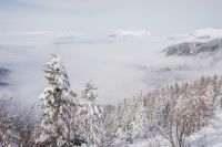 Klik za večjo sliko