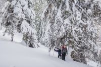 Klik za večjo sliko