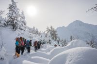 Klik za večjo sliko