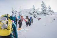 Klik za večjo sliko