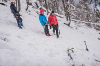 Klik za večjo sliko