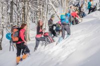 Klik za večjo sliko