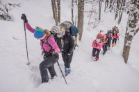 Klik za večjo sliko