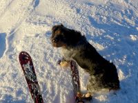 Klik za večjo sliko