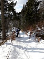 Klik za večjo sliko