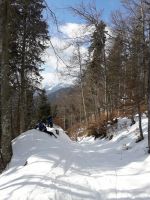 Klik za večjo sliko