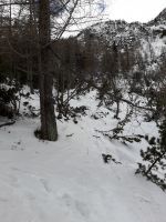 Klik za večjo sliko