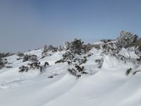 Klik za večjo sliko