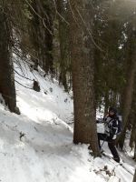 Klik za večjo sliko