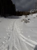 Klik za večjo sliko