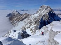 Klik za večjo sliko