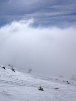 Klik za večjo sliko