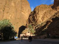 Klik za večjo sliko