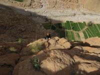 Klik za večjo sliko