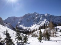 Klik za večjo sliko