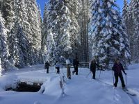 Klik za večjo sliko