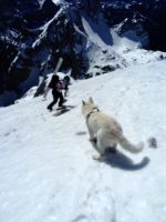 Klik za večjo sliko