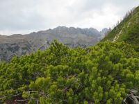 Klik za večjo sliko