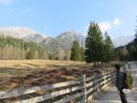 Klik za večjo sliko