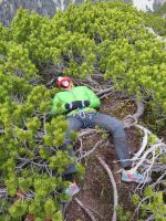 Klik za večjo sliko