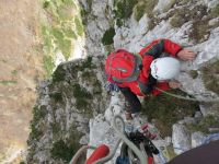 Klik za večjo sliko