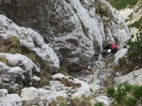 Klik za večjo sliko