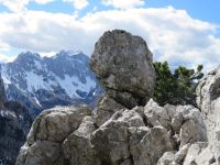 Klik za večjo sliko