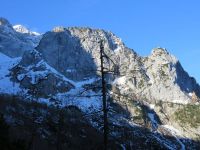 Klik za večjo sliko