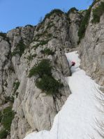 Klik za večjo sliko