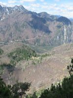 Klik za večjo sliko