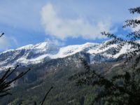 Klik za večjo sliko