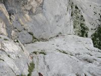 Klik za večjo sliko