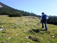 Klik za večjo sliko