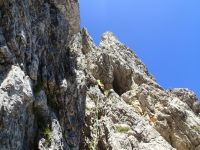 Klik za večjo sliko