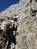 Klik za večjo sliko