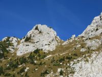 Klik za večjo sliko