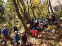 Klik za večjo sliko