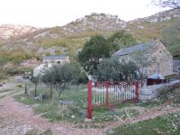 Klik za večjo sliko