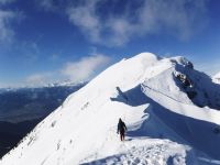 Klik za večjo sliko