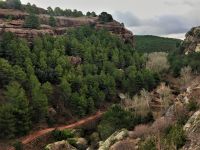 Klik za večjo sliko