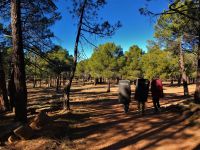 Klik za večjo sliko