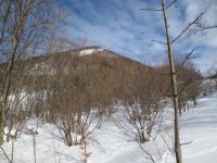 Klik za večjo sliko