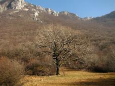 Klik za večjo sliko