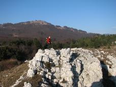 Klik za večjo sliko