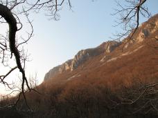 Klik za večjo sliko