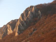 Klik za večjo sliko