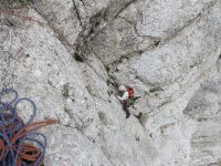 Klik za večjo sliko