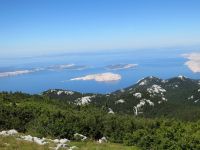 Klik za večjo sliko