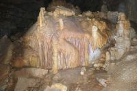 Klik za večjo sliko