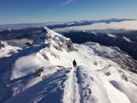 Klik za večjo sliko